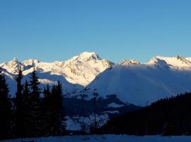 Bourg St Maurice les Arcs 1800 Les Lauzieres jolie vue, nature, espace, bien être, plaisir, paisible，位于阿克1800的酒店