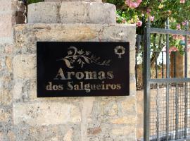 Aromas dos Salgueiros，位于维迪堡的酒店