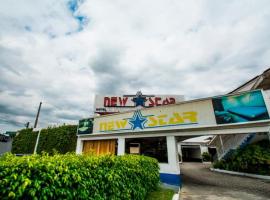 New Star，位于里约热内卢的酒店