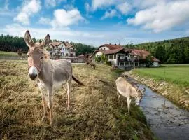 EkoTurizem Hudičevec