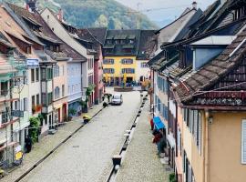 Maisonettewohnung über den Dächern der Altstadt，位于布赖斯高地区施陶芬的酒店