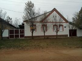 Liza Panzio，位于Mali Iđoš的酒店