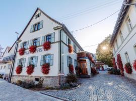 Brauerei_Gasthof Pfister，位于Eggolsheim的酒店