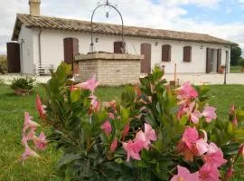 AGRITURISMO " LE SERRE"