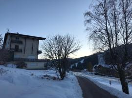 Appartement 6 pers - Les 4 Loups au pied des pistes，位于热拉梅玛莎琳滑雪缆车附近的酒店