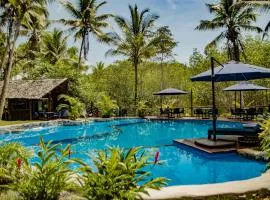 巴伊亚州环保度假酒店