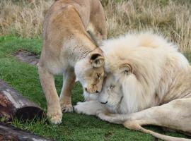 Tenikwa Wildlife Centre & Spa，位于普利登堡湾的酒店