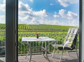 Winzerhof Schmid，位于Stebbach的酒店