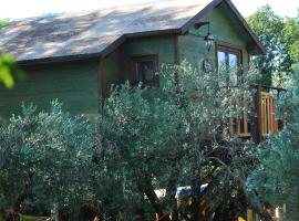 Palazzo Conforti Tree House Resort，位于Marano Marchesato的酒店
