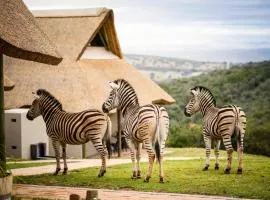 Jbay Zebra Lodge