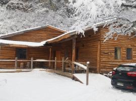 La Ruta de Los Volcanes - Las Trancas Chillán，位于拉斯特朗卡斯的度假短租房