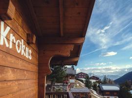 Chalet Krokus，位于利德阿尔卑斯的酒店