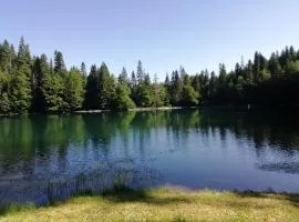 Camp Zabojsko lake