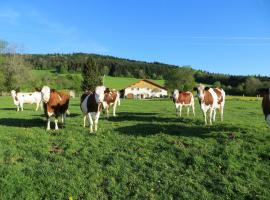 La ferme du bonheur，位于Pierrefontaine-les-Varans的酒店