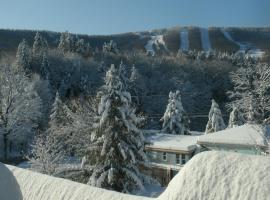 Townhouse W Private Deck & Mt View，位于温德姆的酒店