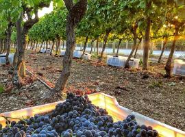 两客房酒店，位于乌尔拉的酒店