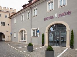 雅各布雷根斯堡酒店，位于雷根斯堡City Centre Regensburg的酒店