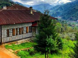 Laz Evi Pansiyon，位于里泽的酒店
