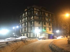 VILA JEZERO，位于科帕奥尼克克尔斯特滑雪缆车附近的酒店