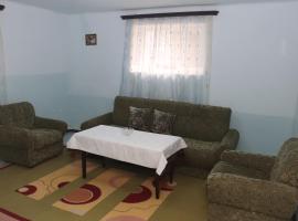Уютные апартаменты в малом центре Еревана，位于埃里温的酒店