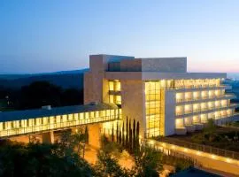 拉维基布兹酒店