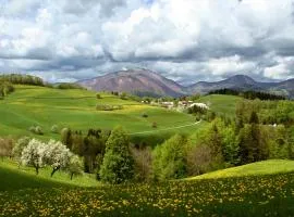 Tourist Farm Ljubica