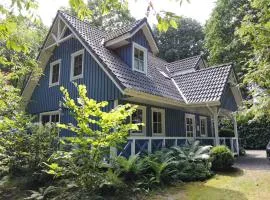 Das blaue Haus