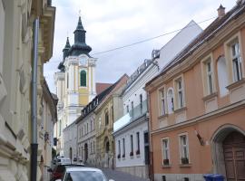 Centrál Vendégház Székesfehérvár，位于塞克希费黑瓦尔的住宿加早餐旅馆