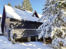 Tree Top Rogla Apartment，位于兹雷切Mašin žaga 2附近的酒店