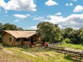 Glamping Tent Joy