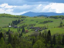 Полонянка，位于Bukovinka的酒店