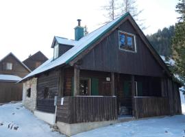 Seebergalmhütte，位于Turnau的酒店