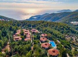 蒙大拿松树全包度假村