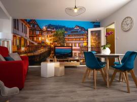 Strasbourg Appart Cosy Hyper Centre，位于斯特拉斯堡The Barrage Vauban附近的酒店