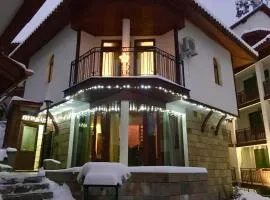 Pamporovo Villa