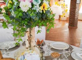 Cabana Fabian，位于Bîrlad的酒店