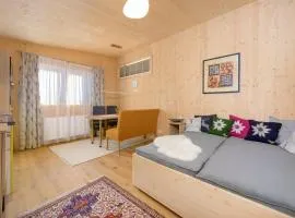 Appartement - Vollholz Studio im Zentrum von Flachau