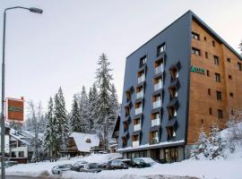 Alpin Apartments Jahorina，位于亚霍里纳的舒适型酒店