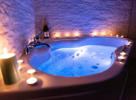 SPA Apartment Nalis，位于尼什的酒店