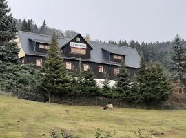 Pension Gaststätte Tannenhof，位于Saupsdorf的旅馆