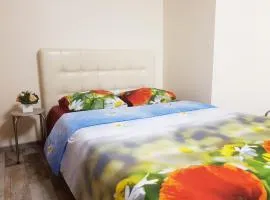 Studio by the Lake Kaunas