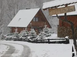 NATURA PARK BIESZCZADY - DOMKI CAŁOROCZNE