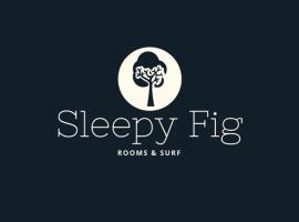 Sleepyfig，位于萨格里什的酒店