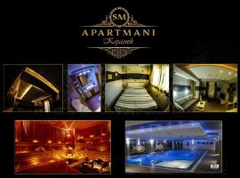 SM Apartments Kopaonik III，位于科帕奥尼克的酒店