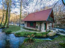 Bistrica Cottage，位于Gornje Dubrave的海滩短租房