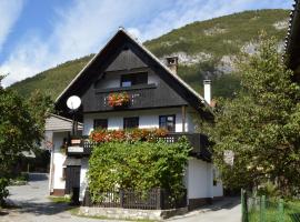 Hiša Planšar Bohinj accommodations，位于博希尼的住宿加早餐旅馆