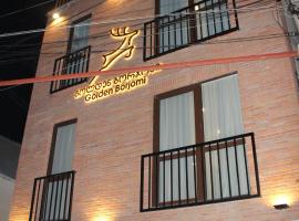 golden borjomi，位于博尔若米的公寓式酒店