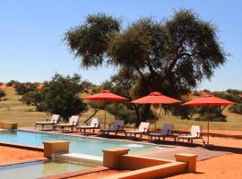 Zebra Kalahari Lodge，位于Hoachanas全景盐沼附近的酒店