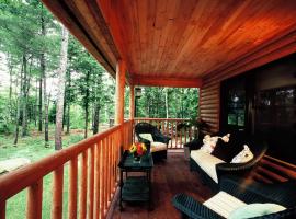 Upscale Fryeburg Cabin Hot Tub and Billiards Table!