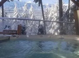 鹿岭住宿加早餐旅馆